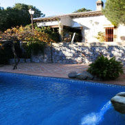 imagen de un jardín